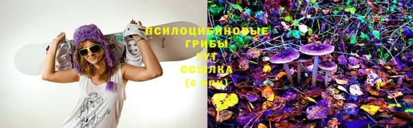 первитин Козловка