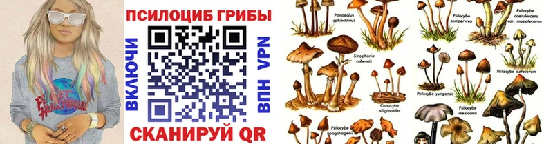 KRAKEN зеркало  Краснослободск  Псилоцибиновые грибы прущие грибы 